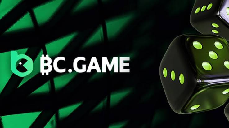 Understanding the BC.Game Platform Hub A Comprehensive Guide -439116526